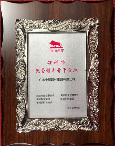 深圳市民營領軍骨干企業